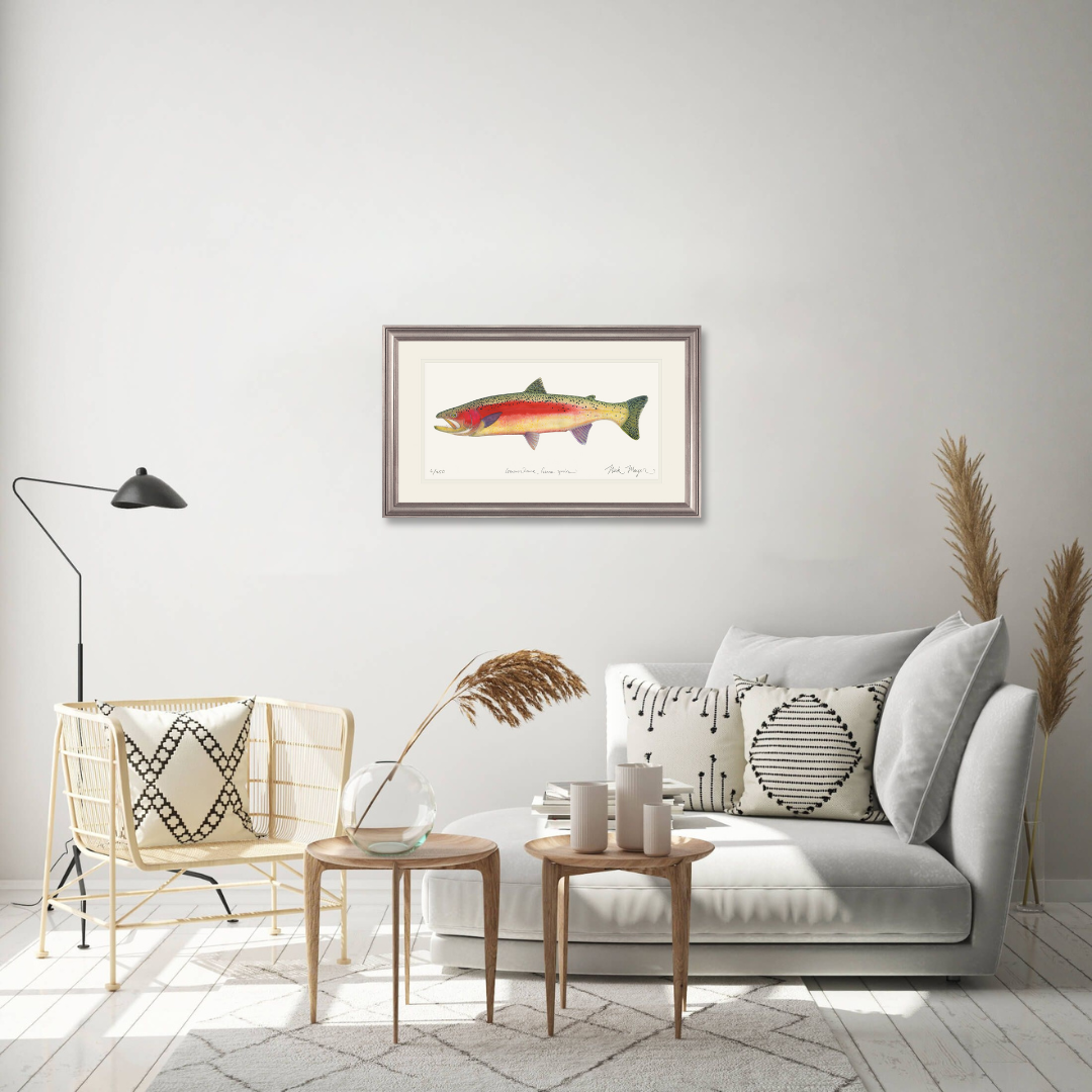 New Zealand Rainbow Trout Limited Edition Print