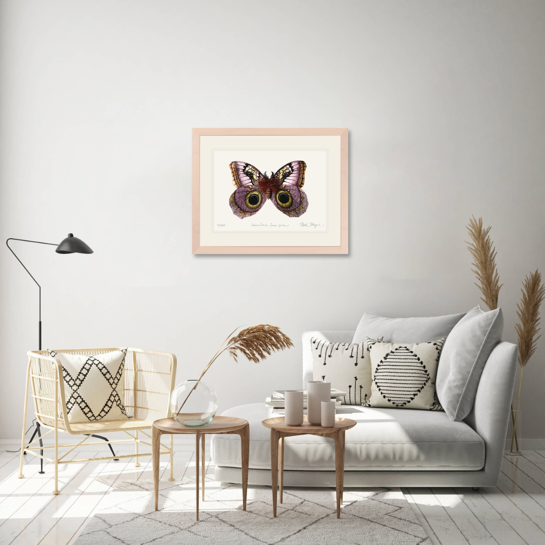 Owl Butterfly I Limited Edition Print