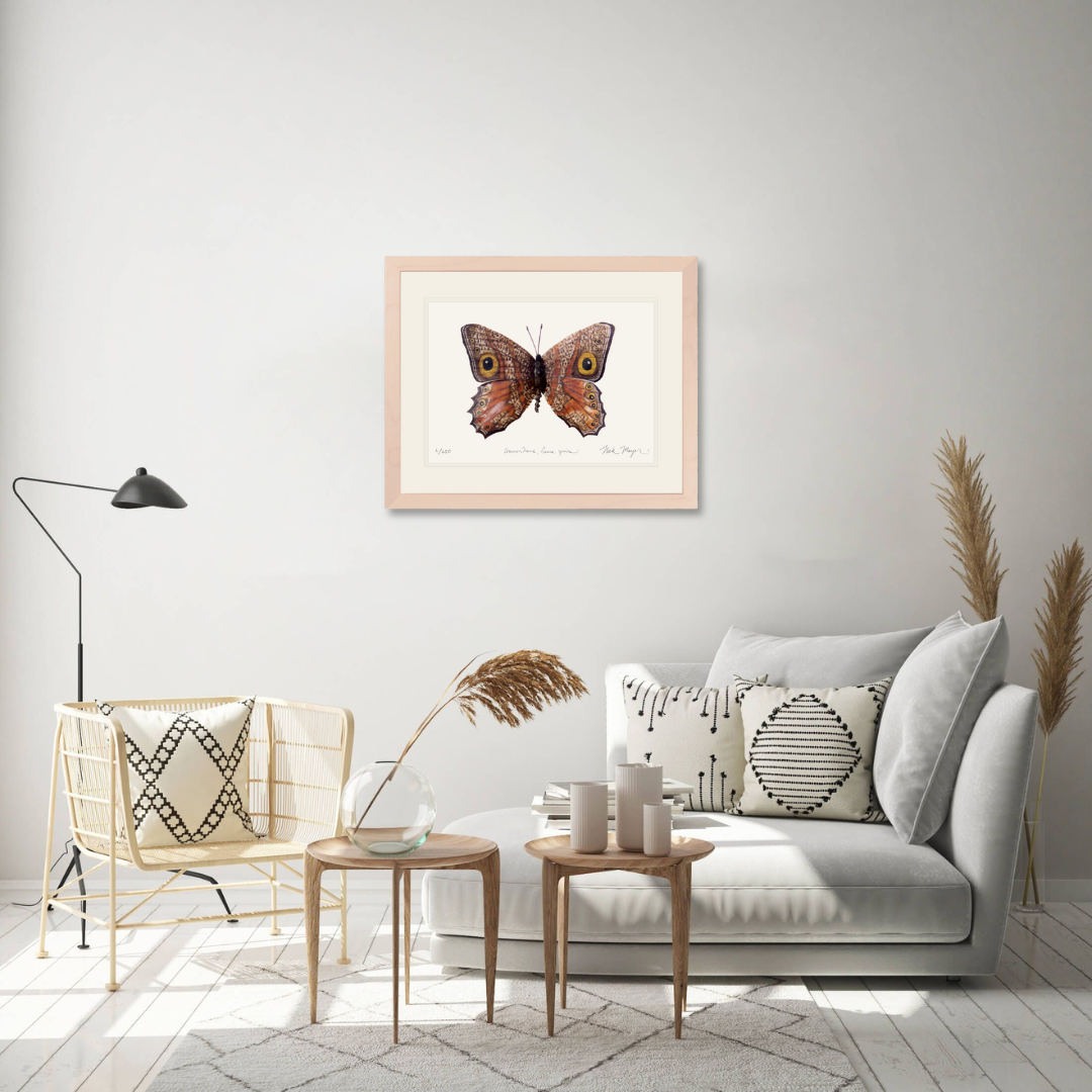 Owl Butterfly II Limited Edition Print