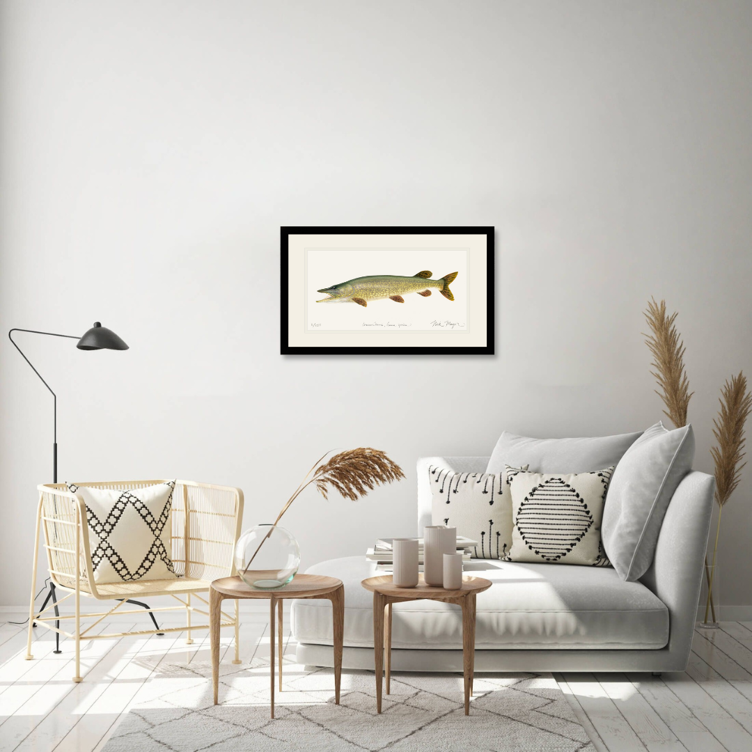 Northern Pike Print