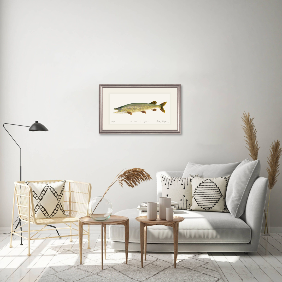 Northern Pike Print