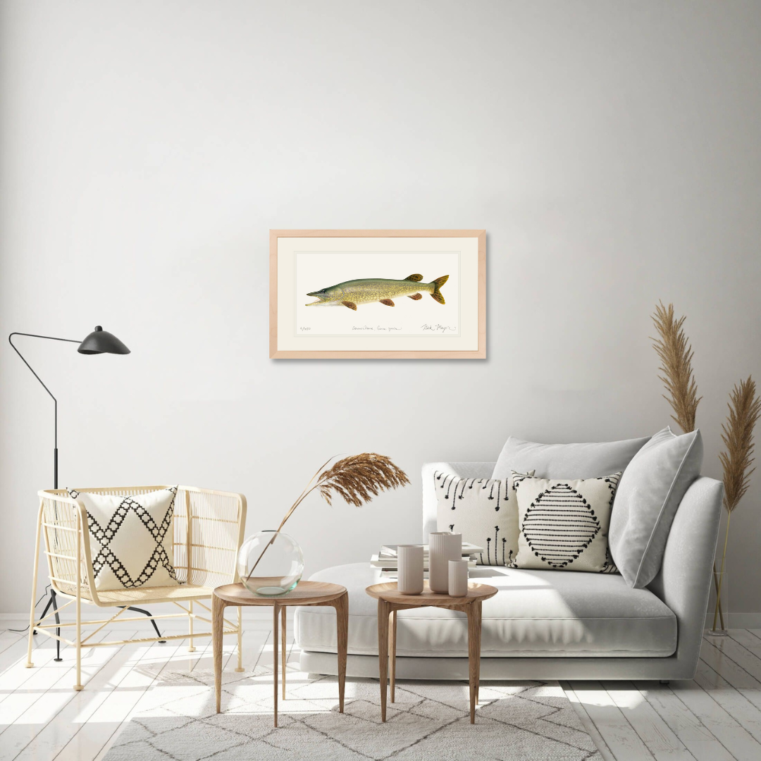 Northern Pike Limited Edition Print