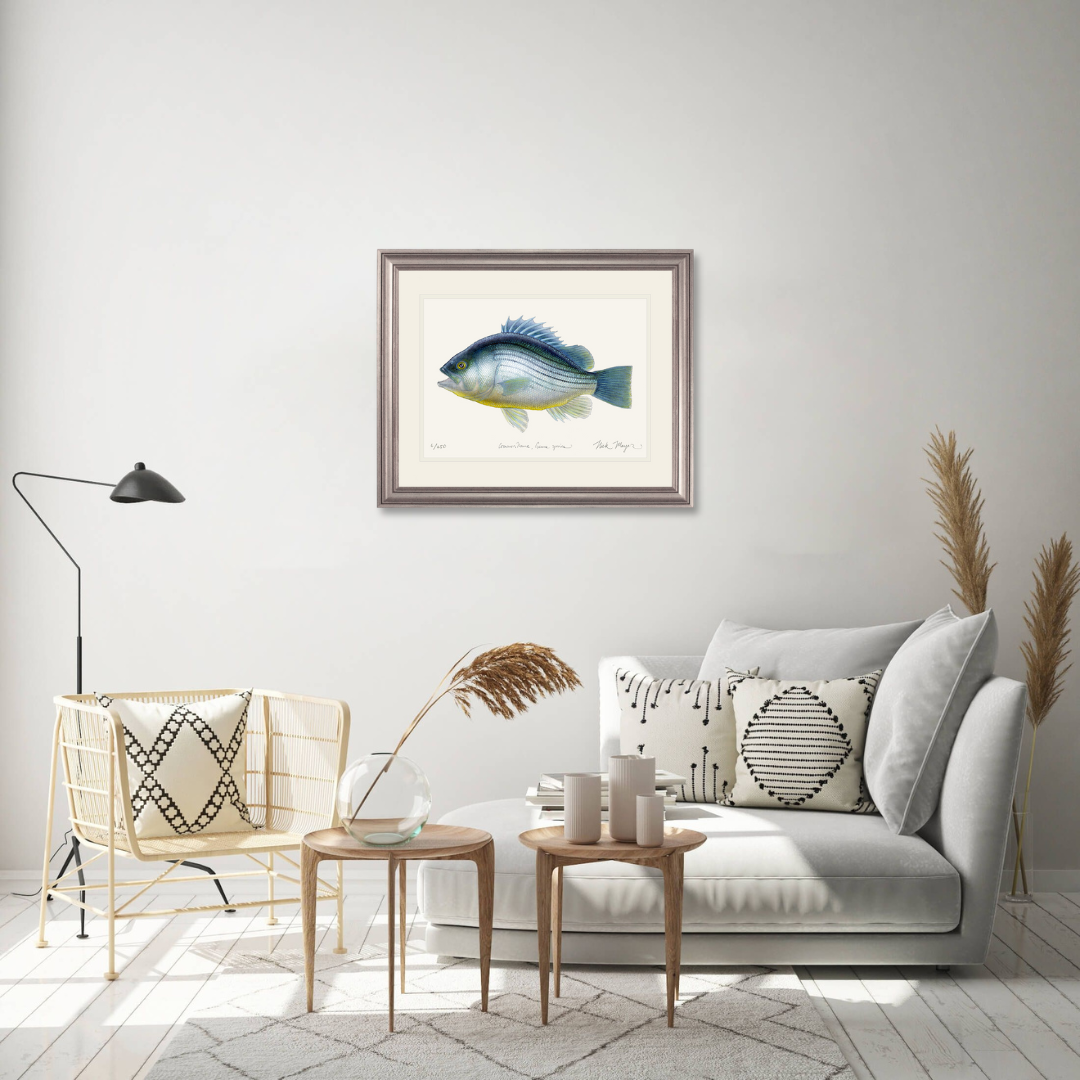 Priscacara Fossil Fish Print