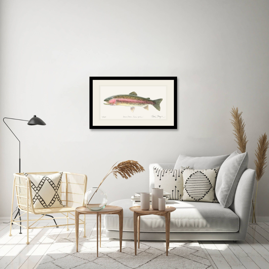 Rainbow Trout Limited Edition Print - Best Seller