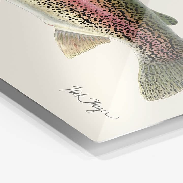 Rainbow Trout Metal Print, NEW!