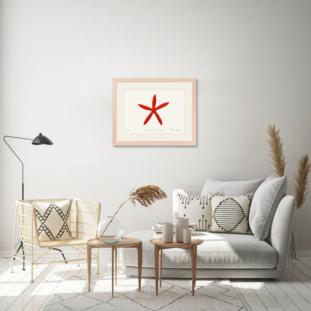 Red Linkia Starfish Limited Edition Print