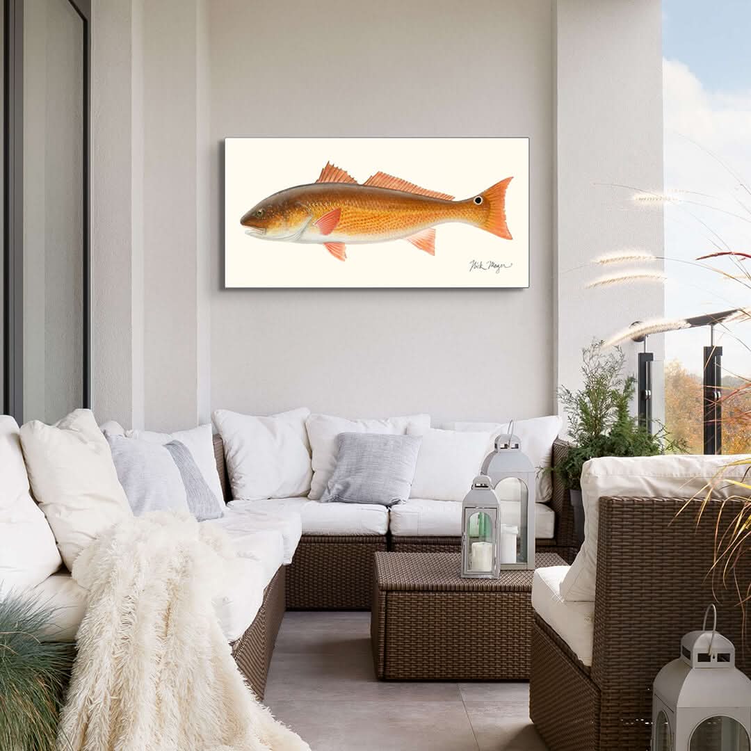 Redfish Metal Print, NEW!