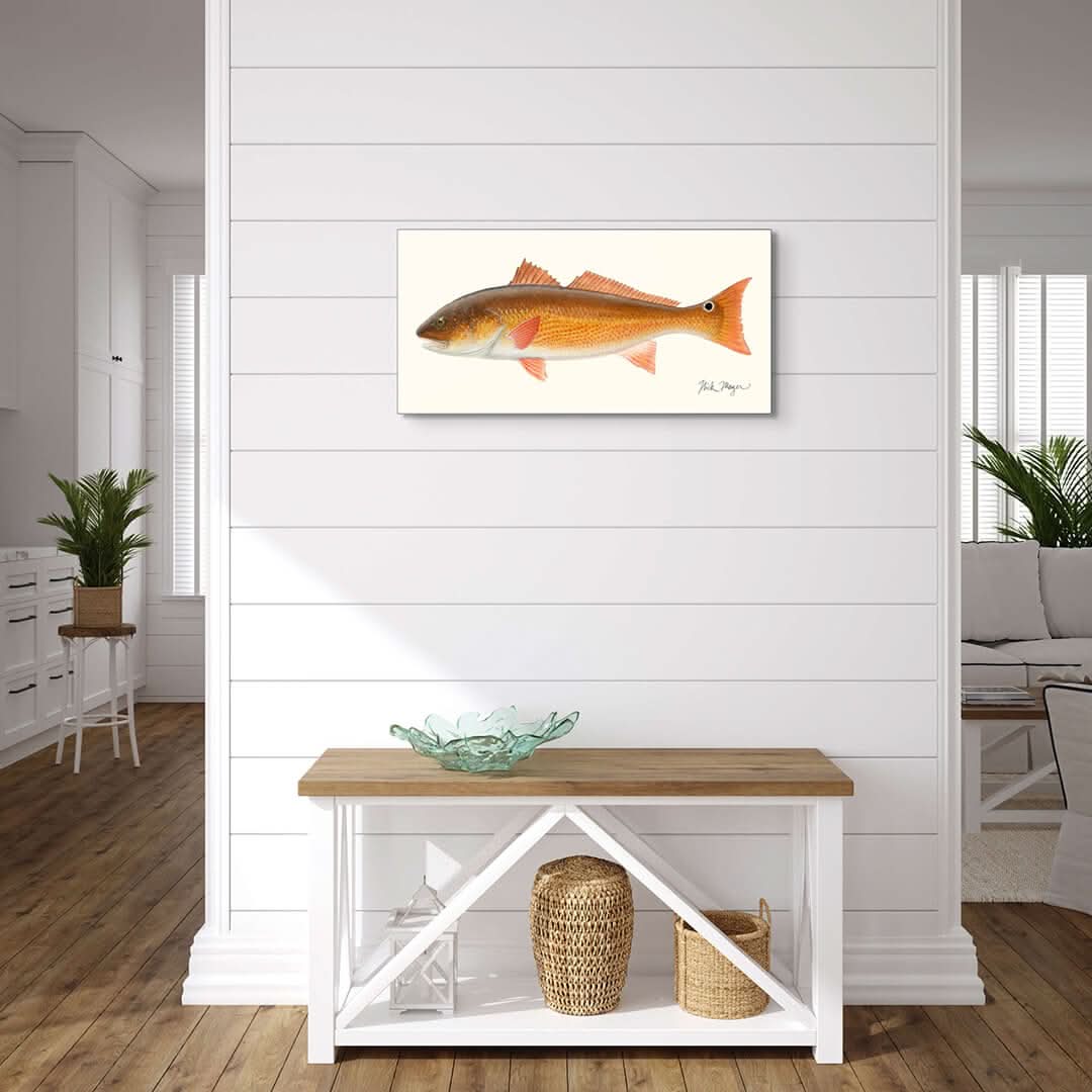Redfish Metal Print, NEW!
