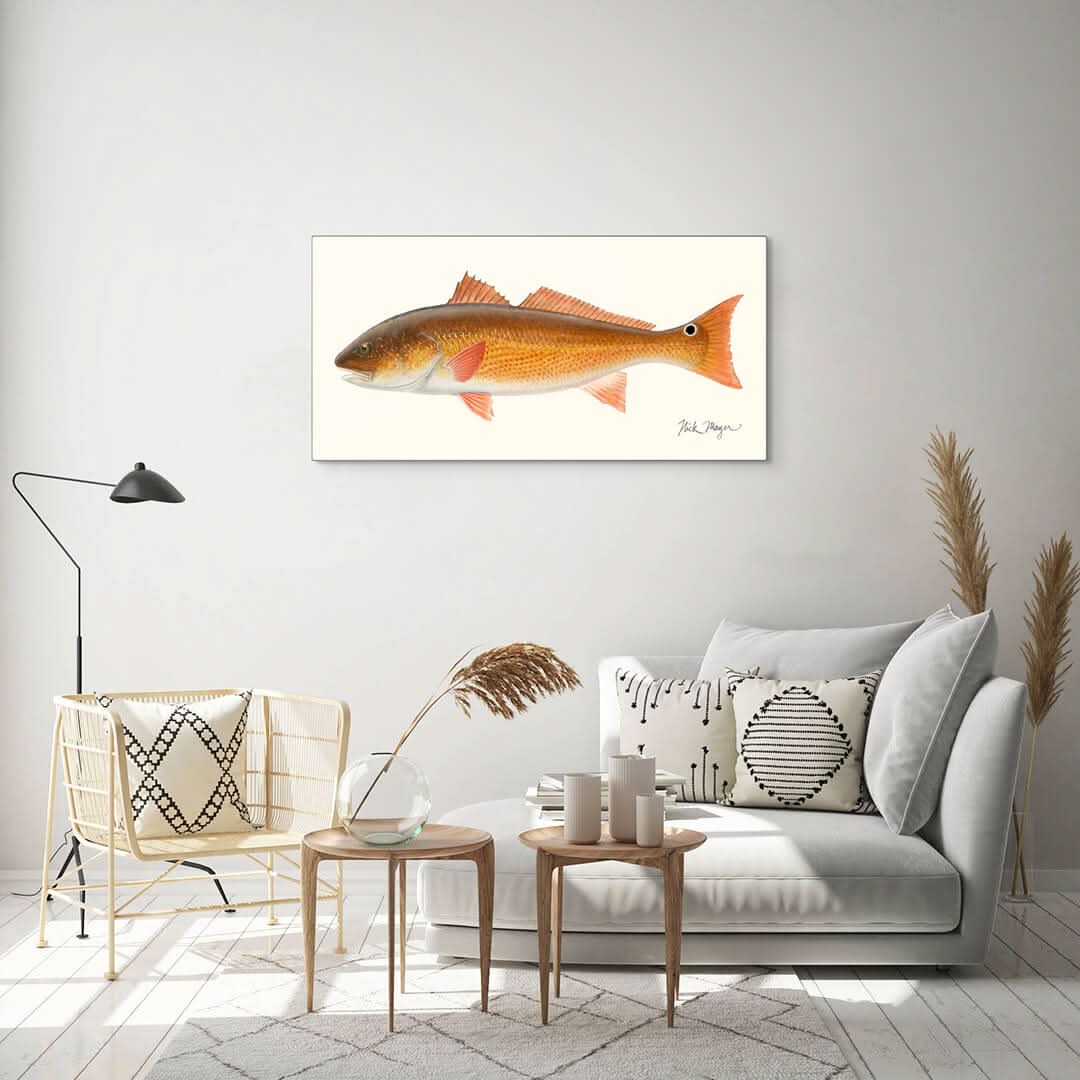 Redfish Metal Print, NEW!