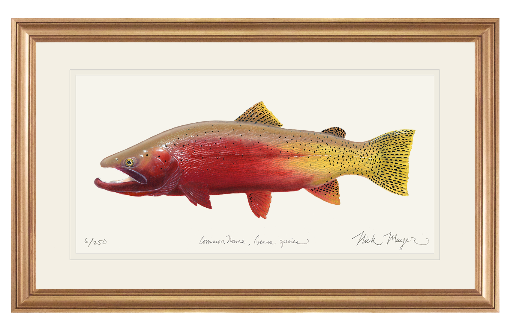 Cutthroat Trout 2 Limited Edition Print - NEW for Holiday 2025!