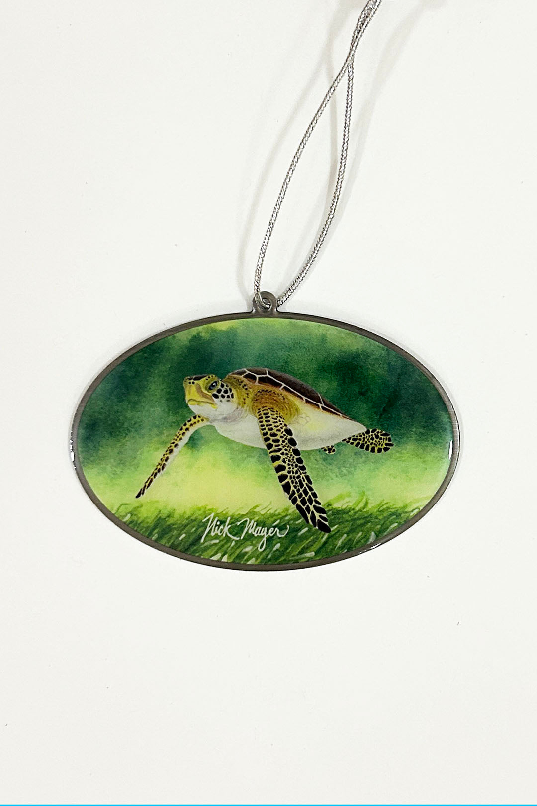 🎁 Sea Turtle Conservancy - Nick Mayer Collaboration 2025 Christmas Tree Ornament (100% off)