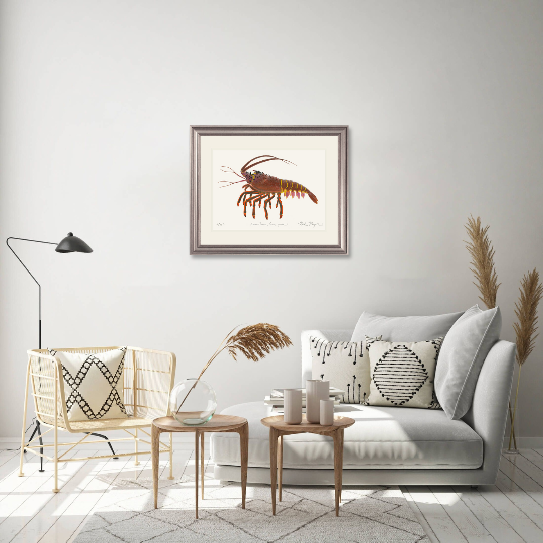 Spiny Lobster II Limited Edition Print