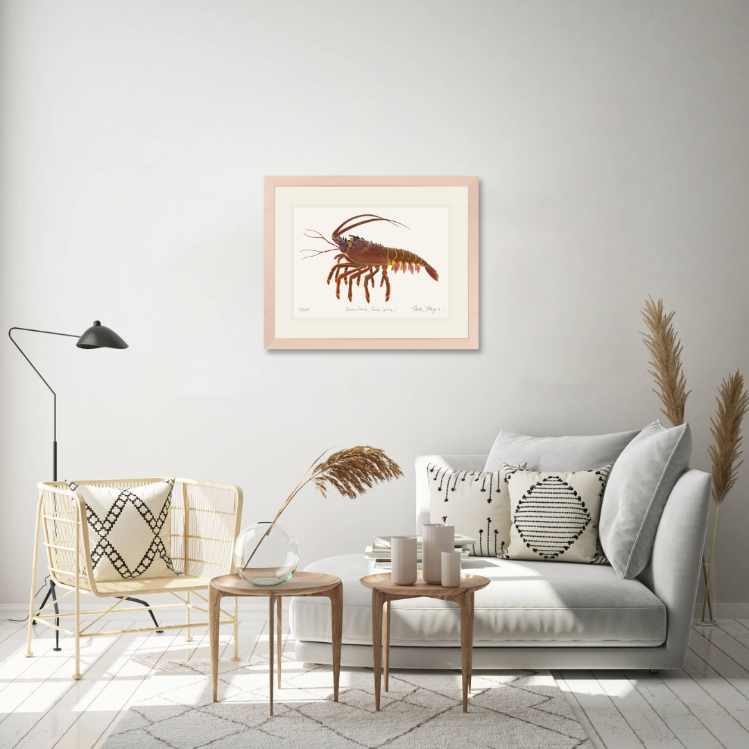 Spiny Lobster II Limited Edition Print