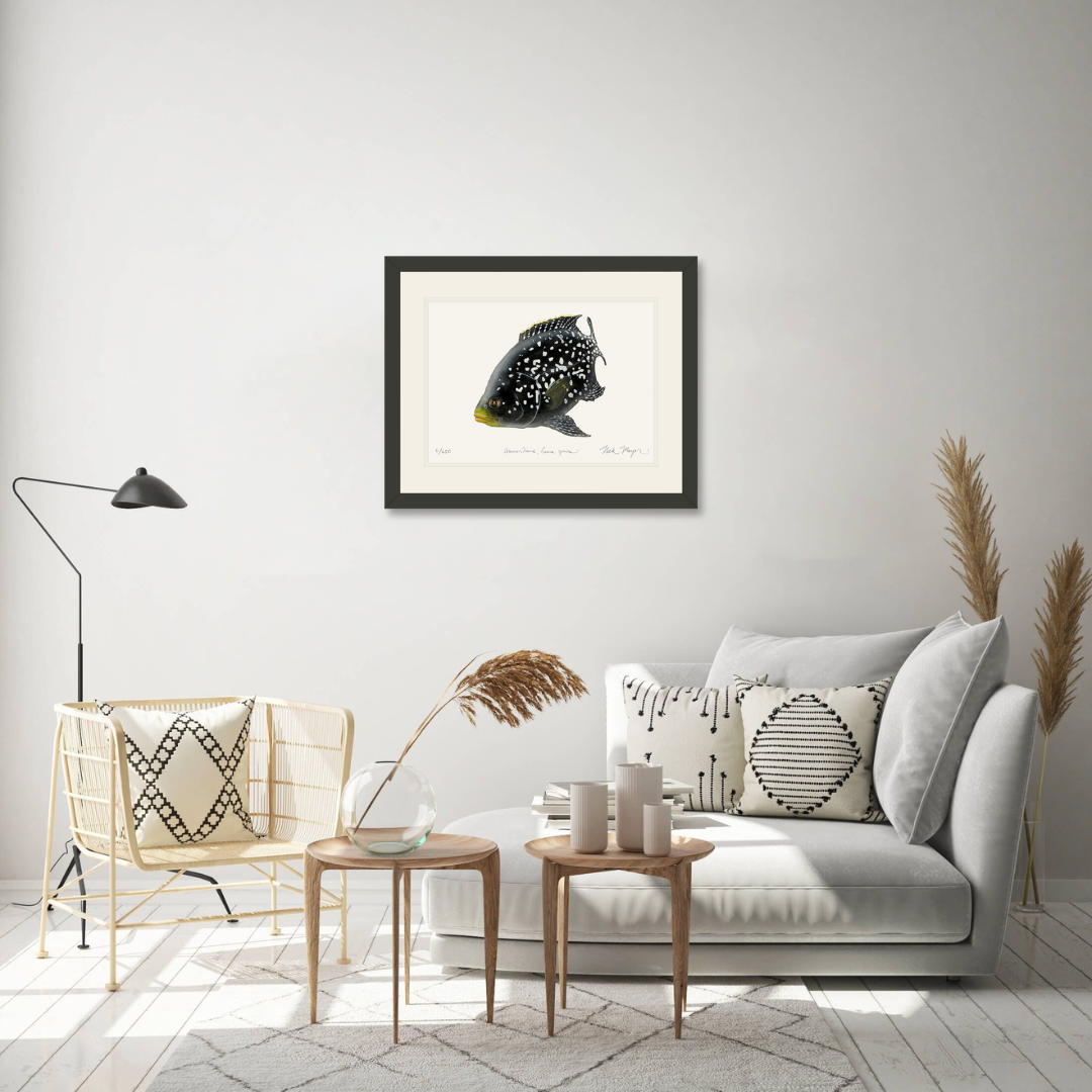 Starry Night Cichlid II Limited Edition Print