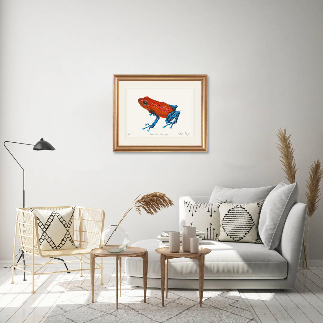 Strawberry Poison Dart Frog Limited Edition Print