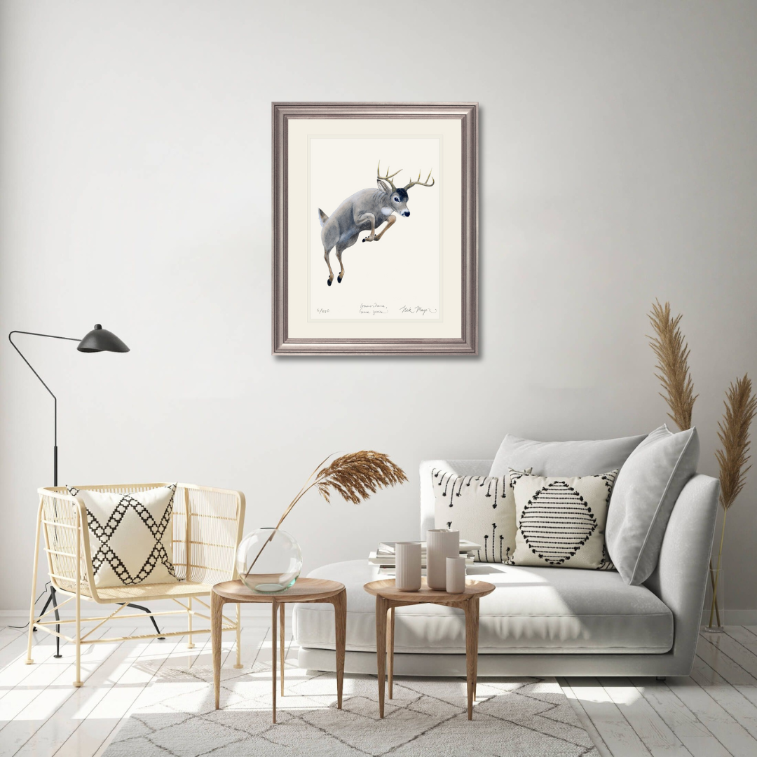 Whitetail Buck Print