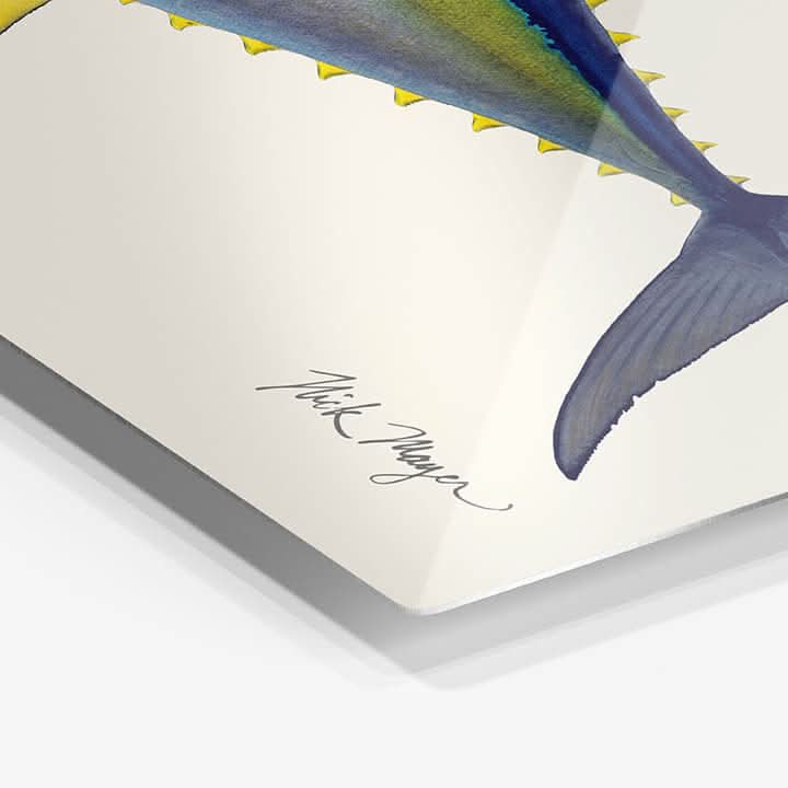 Yellowfin Tuna Metal Print, NEW!