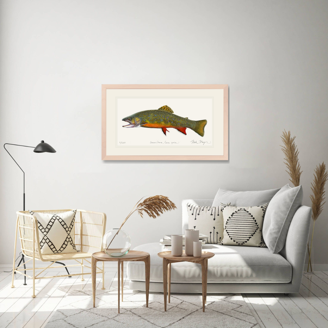Beaver Pond Brook Trout Limited Edition Print - Best Seller