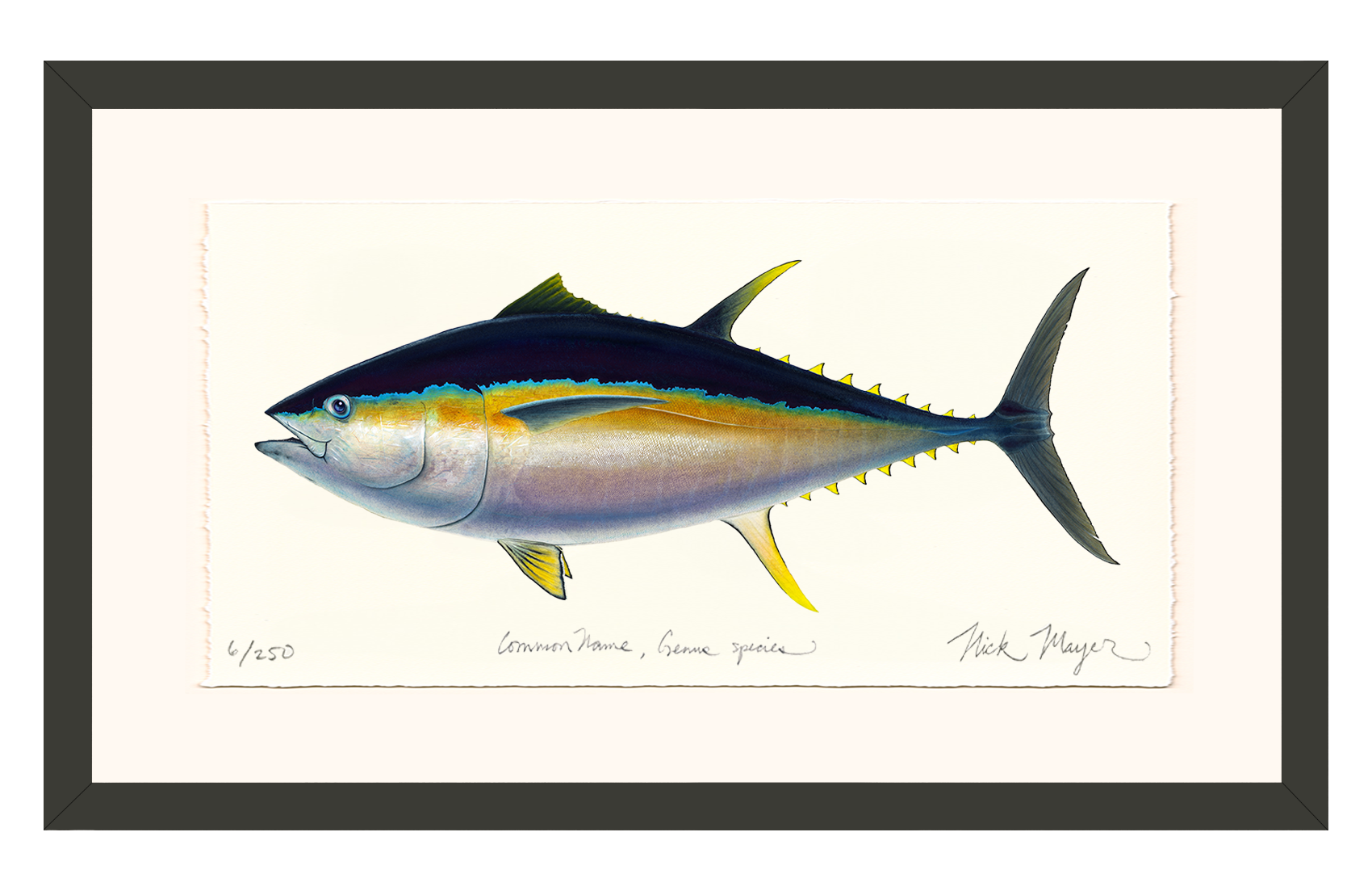 Bigeye Tuna Limited Edition Print
