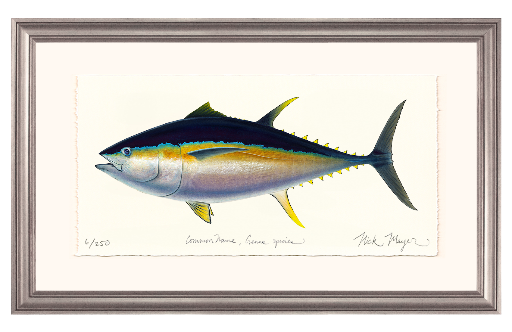 Bigeye Tuna Limited Edition Print