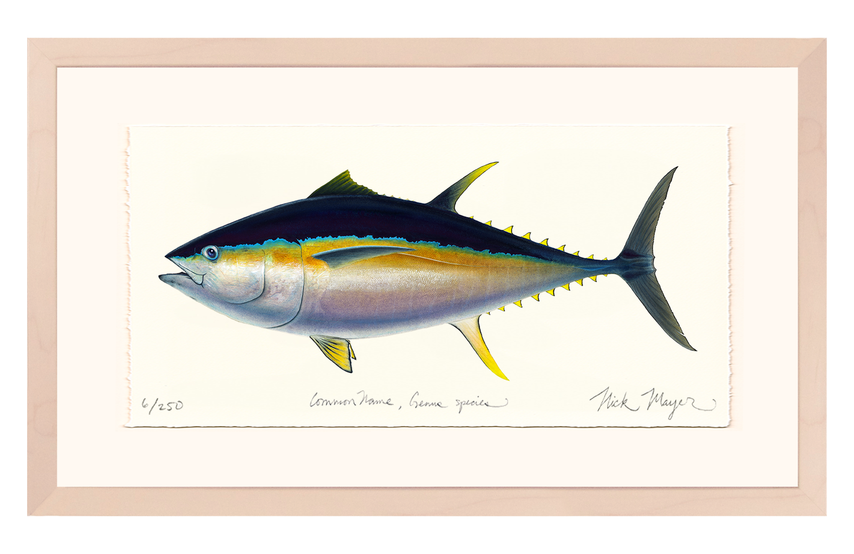 Bigeye Tuna Limited Edition Print