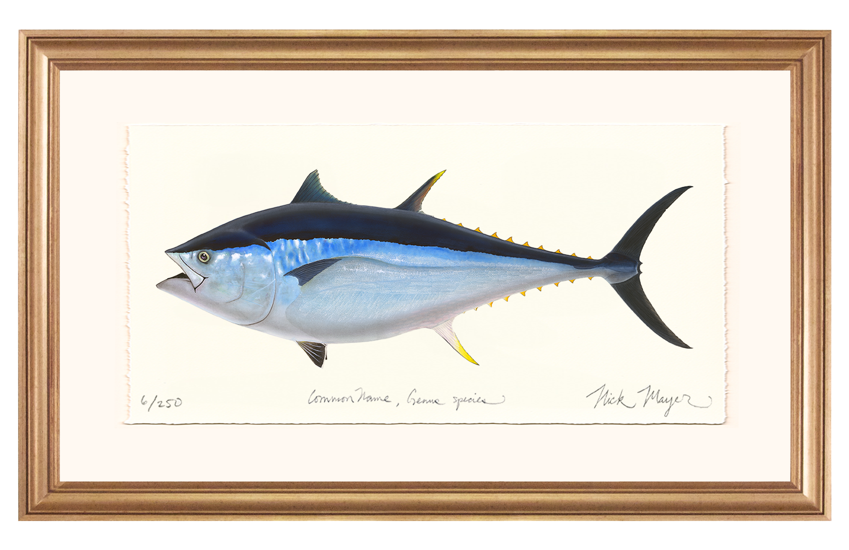 Giant Bluefin Tuna II Limited Edition Print - Best Seller