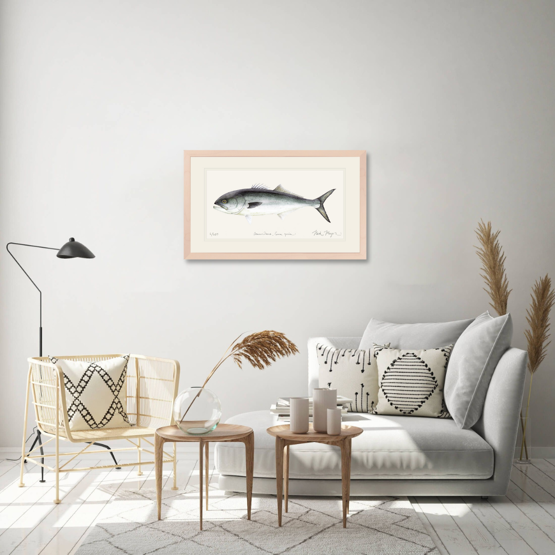 Bluefish Limited Edition Print