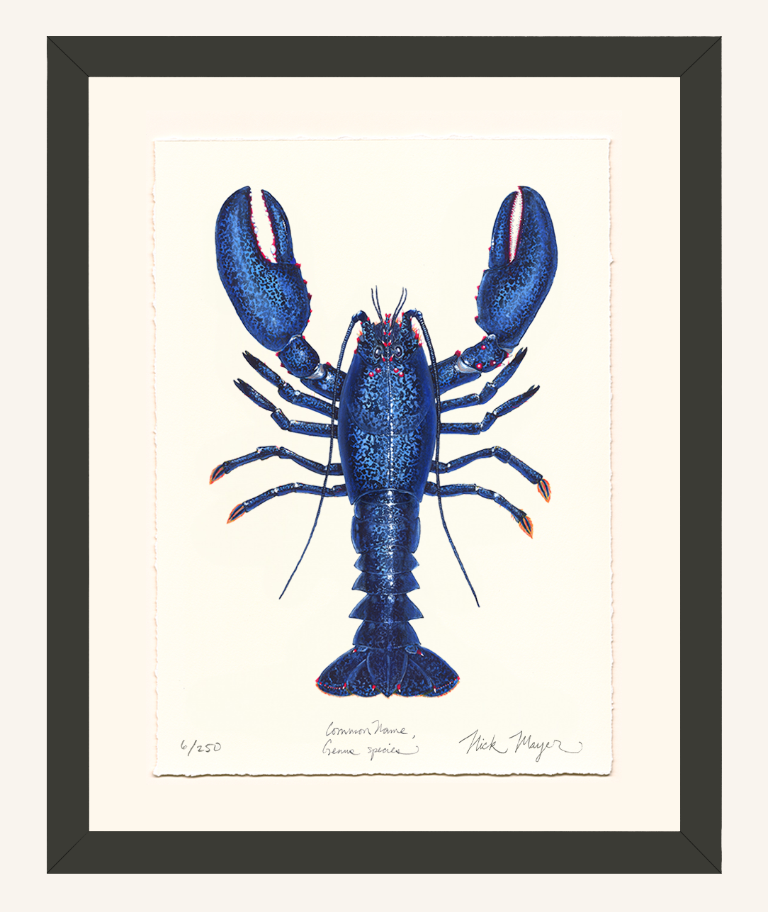 Blue Lobster II Limited Edition Print - Best Seller
