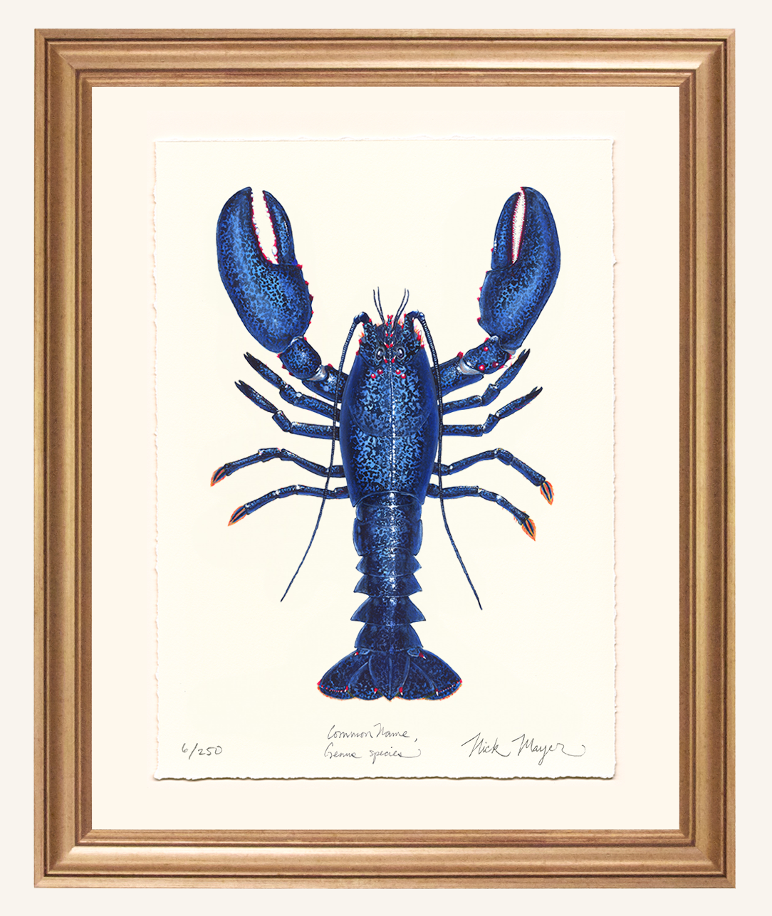 Blue Lobster II Limited Edition Print - Best Seller