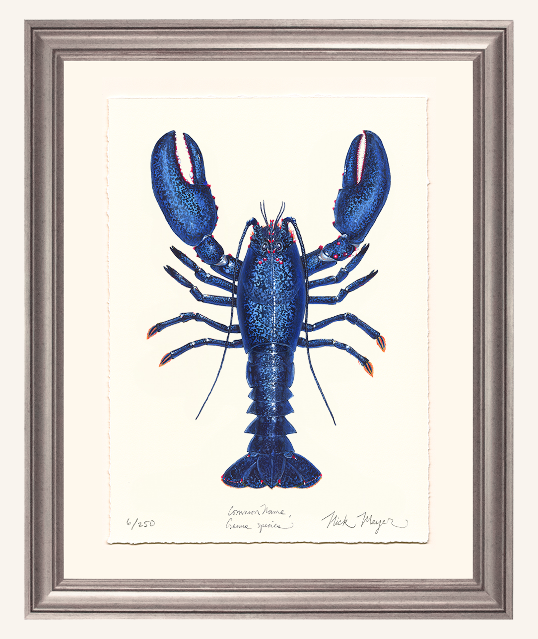 Blue Lobster II Limited Edition Print - Best Seller