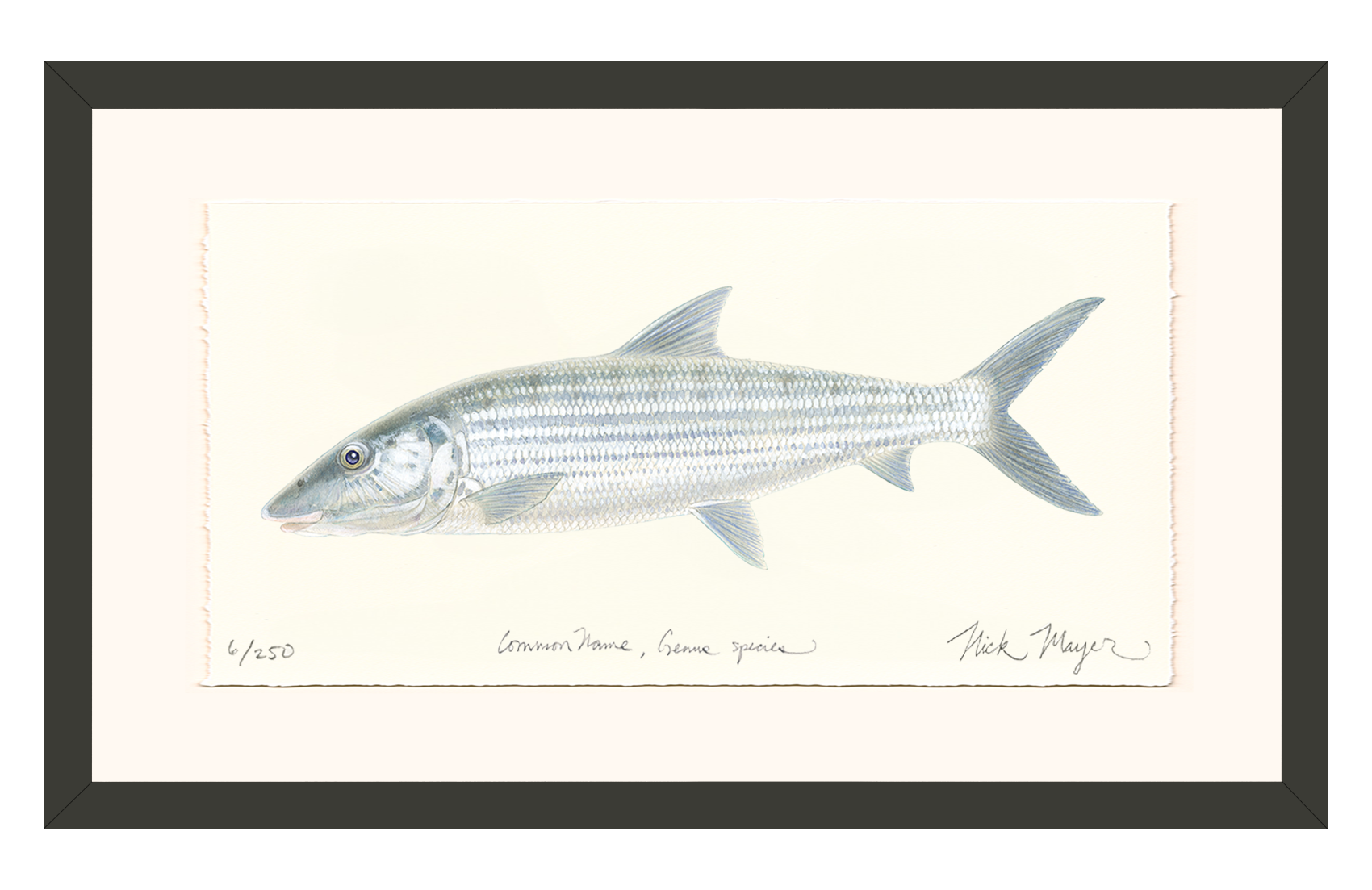 Bonefish Limited Edition Print