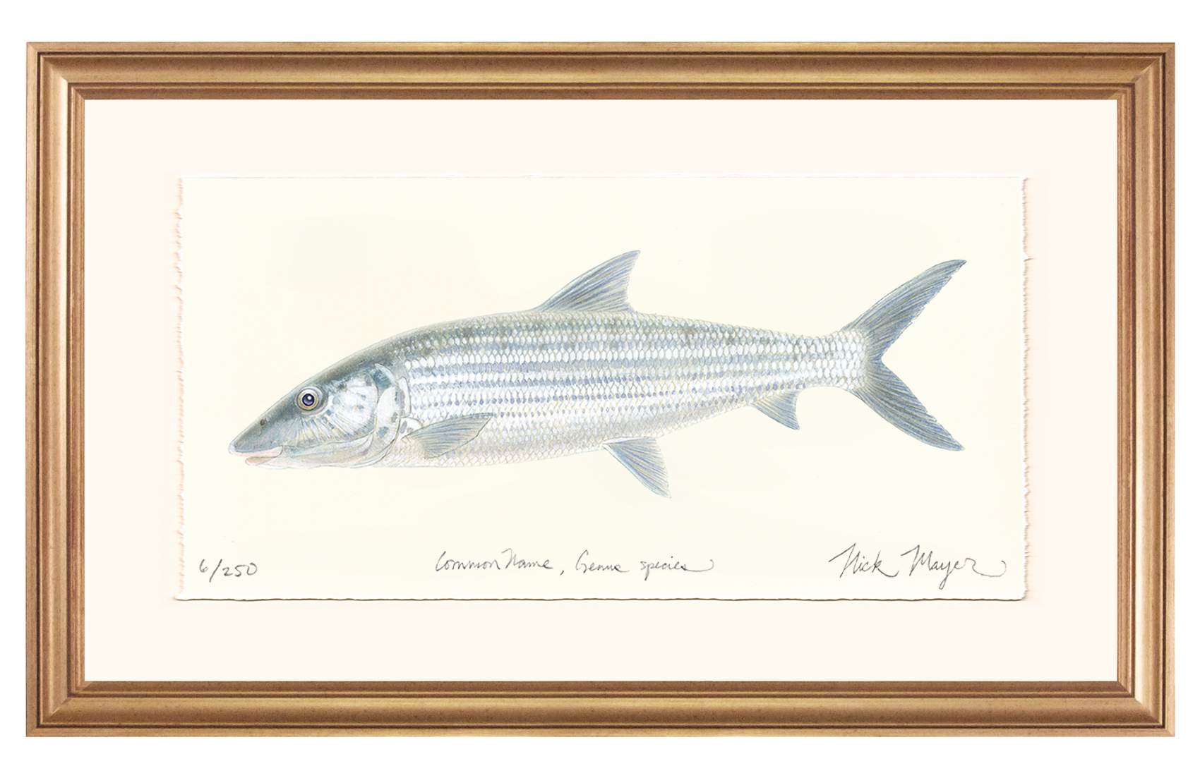 Bonefish Limited Edition Print