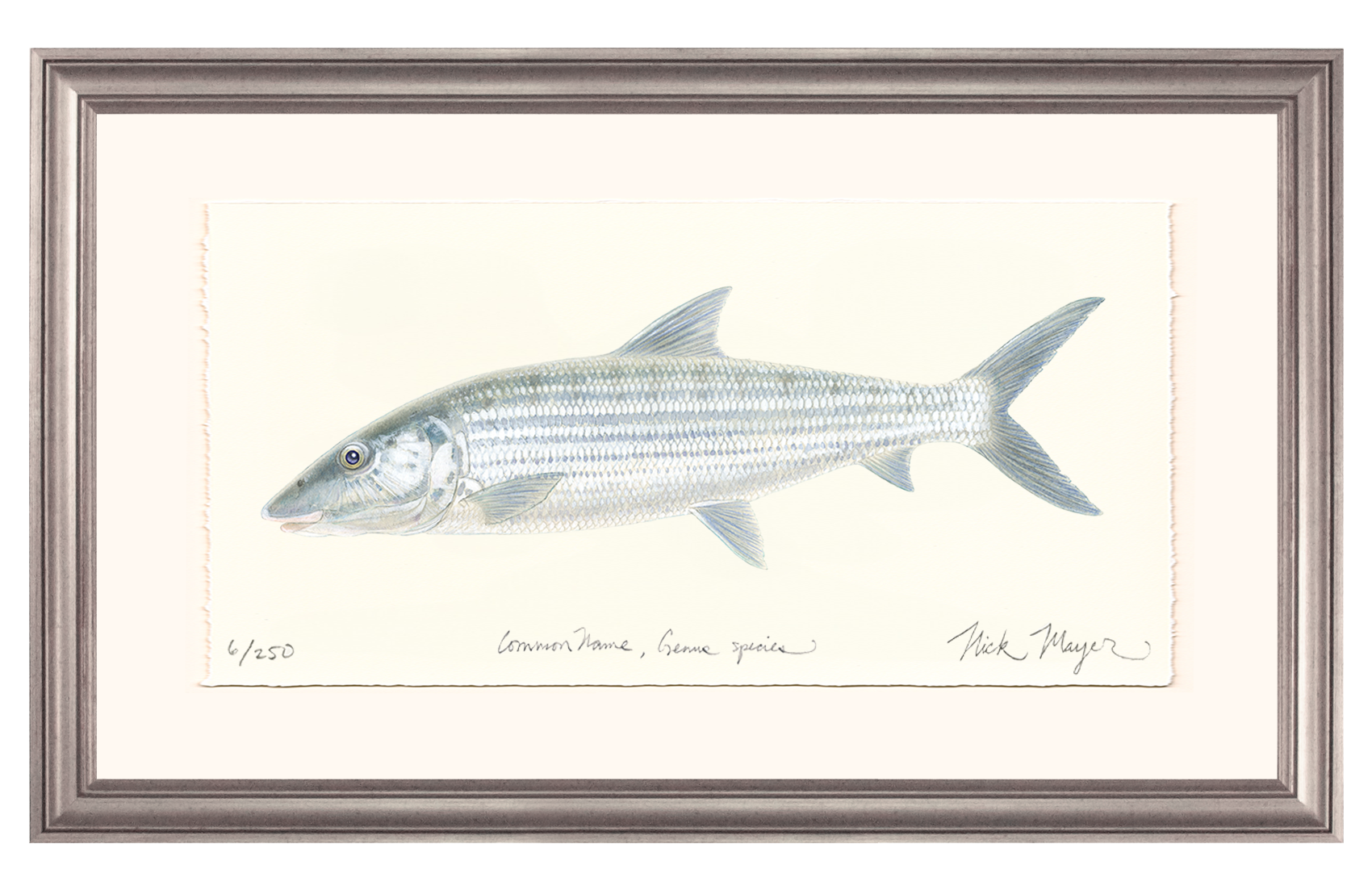 Bonefish Limited Edition Print