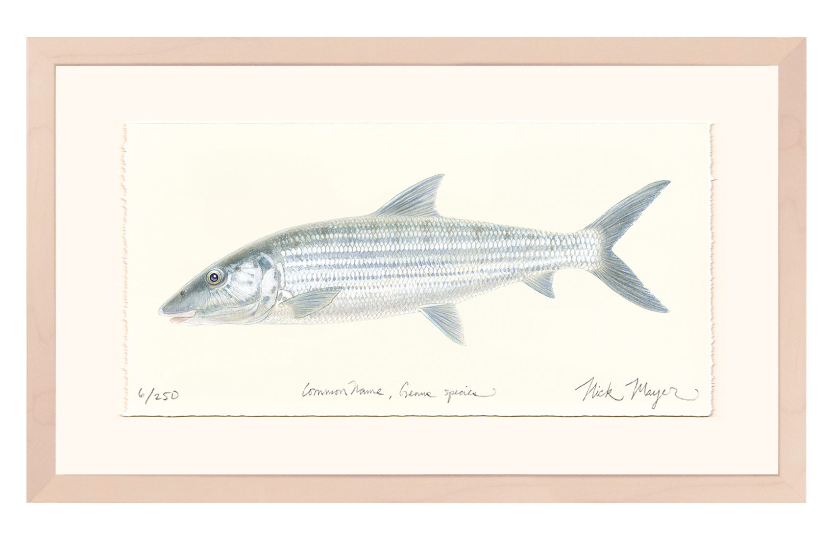 Bonefish Limited Edition Print