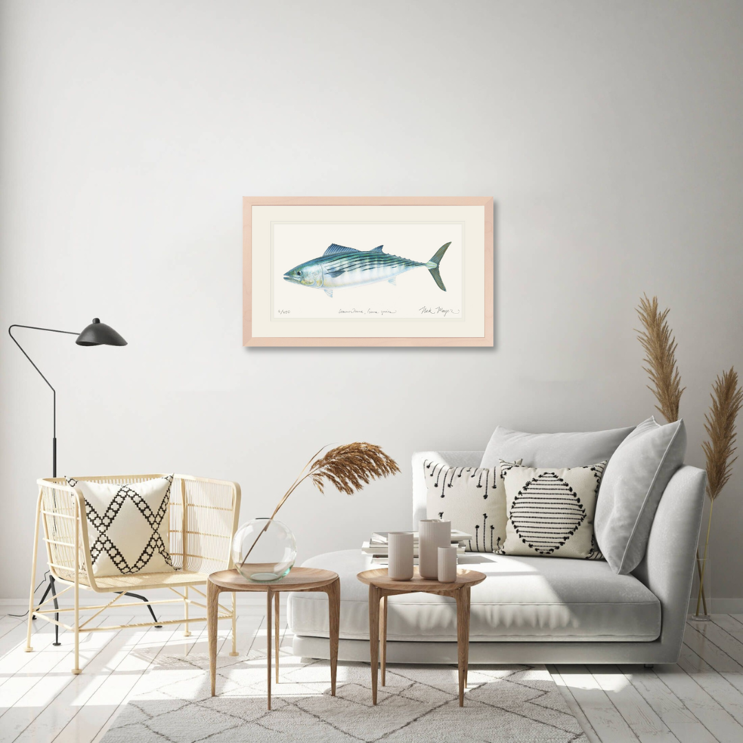 Bonito Limited Edition Print
