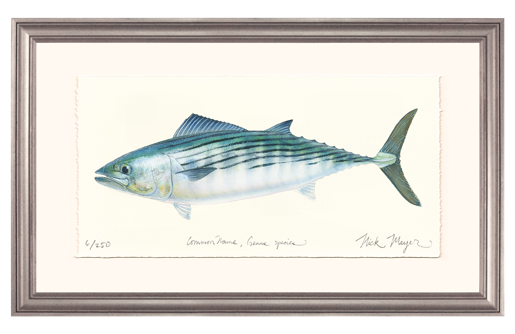 Bonito Limited Edition Print