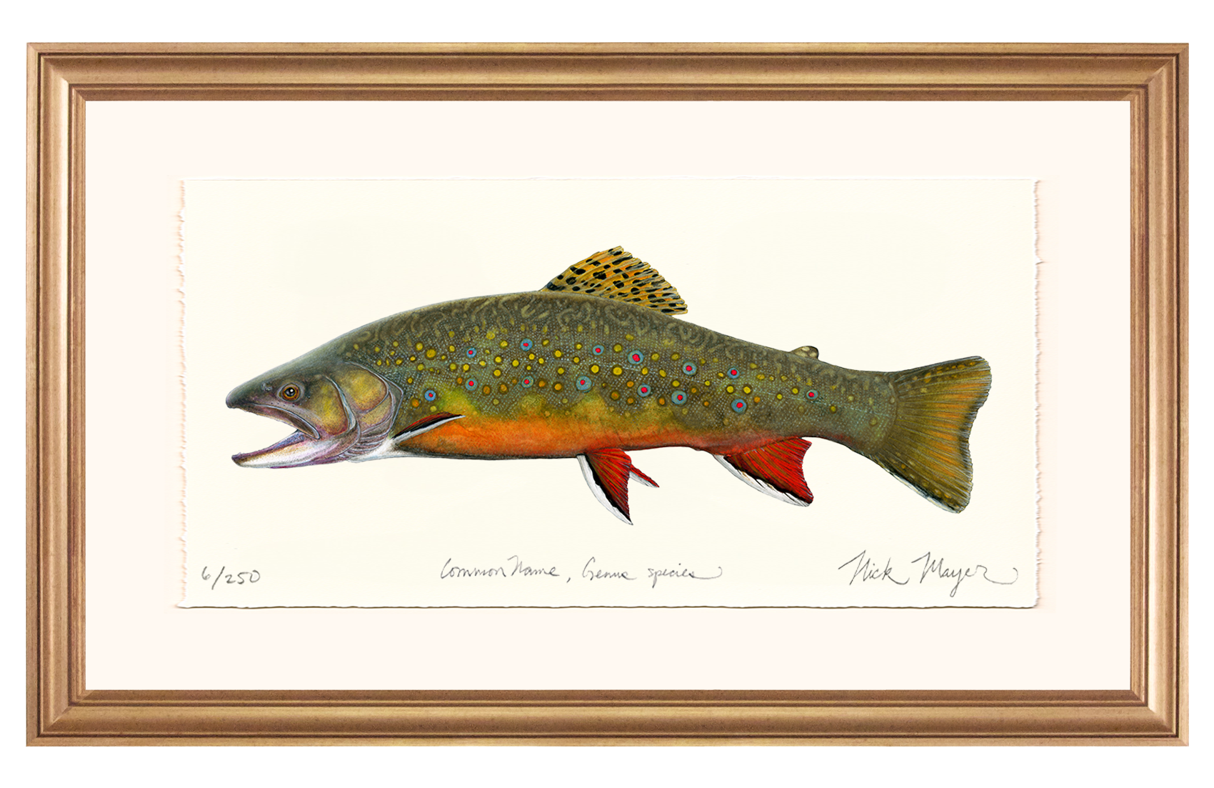 Beaver Pond Brook Trout Limited Edition Print - Best Seller