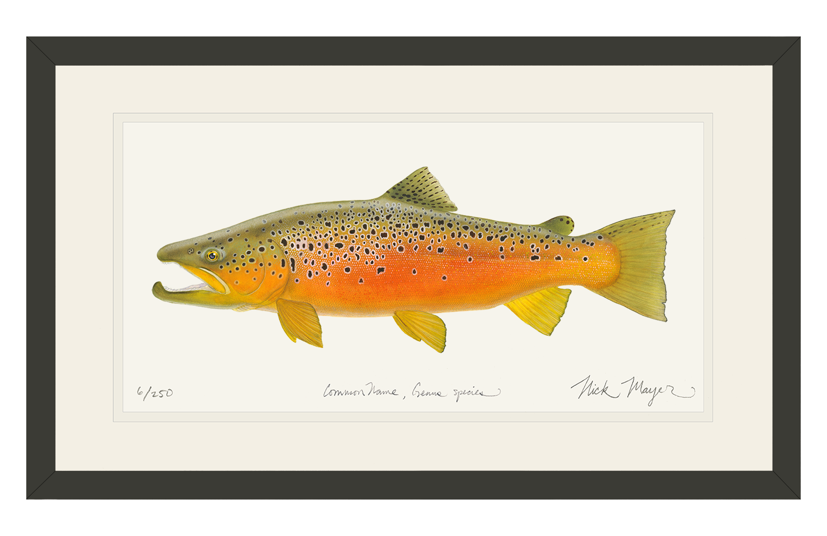 Brown Trout 2 Limited Edition Print - NEW for Holiday 2025!