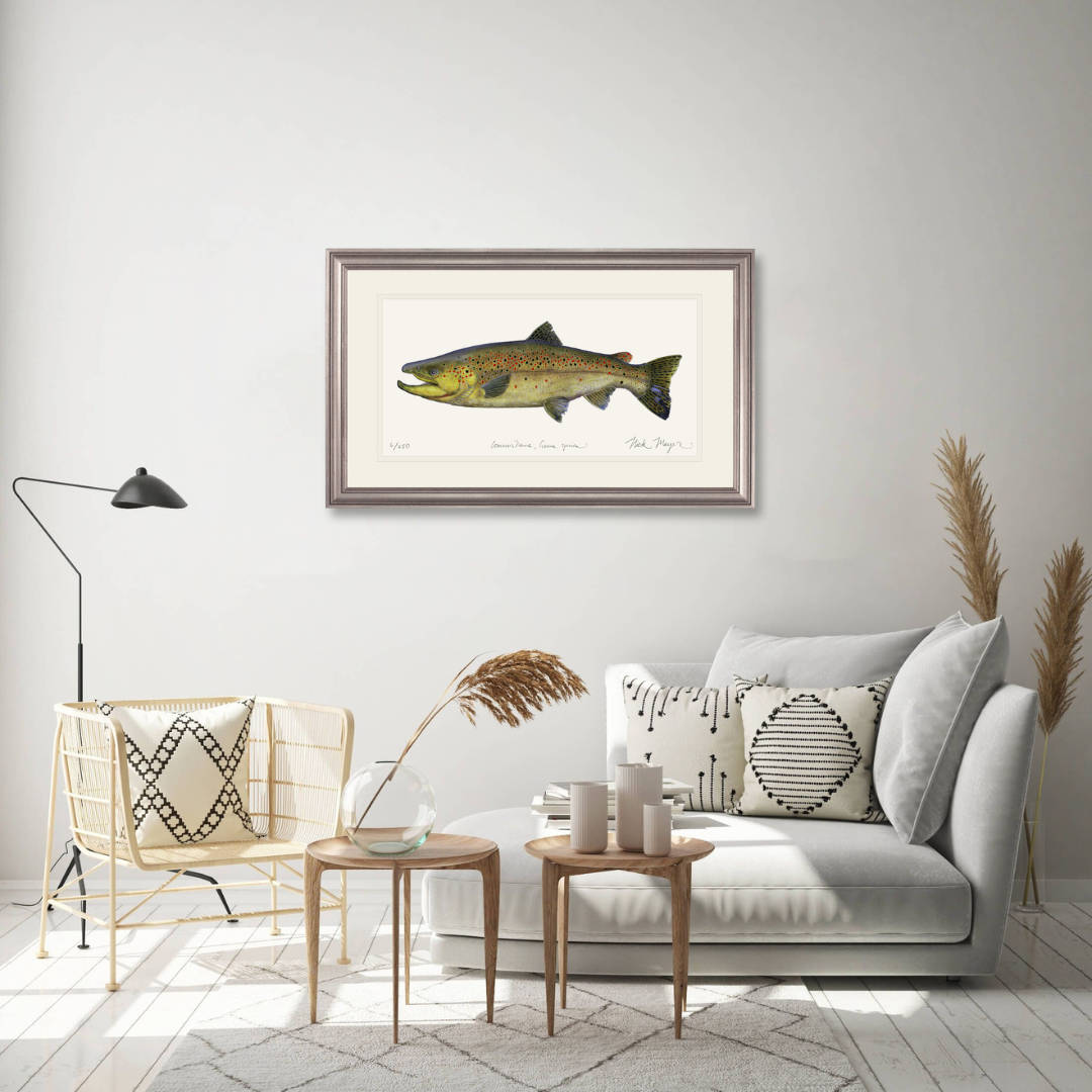 Brown Trout 1 Limited Edition Print