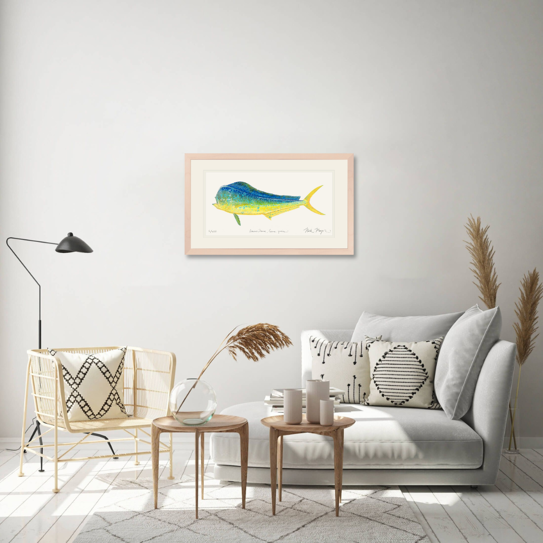 Bull Dorado/ Mahi Limited Edition Print - Best Seller
