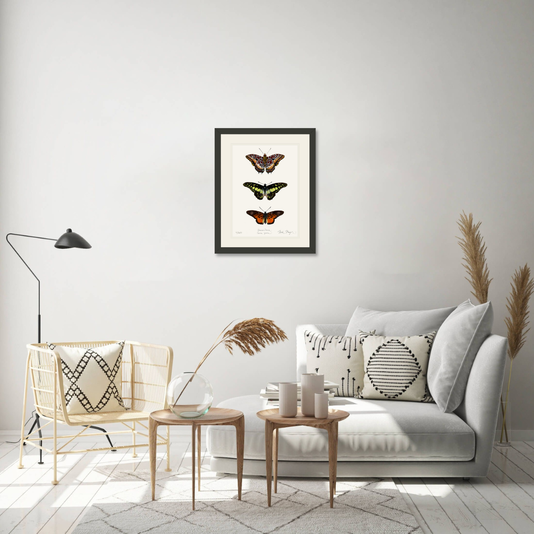 Butterfly Trio Limited Edition Print