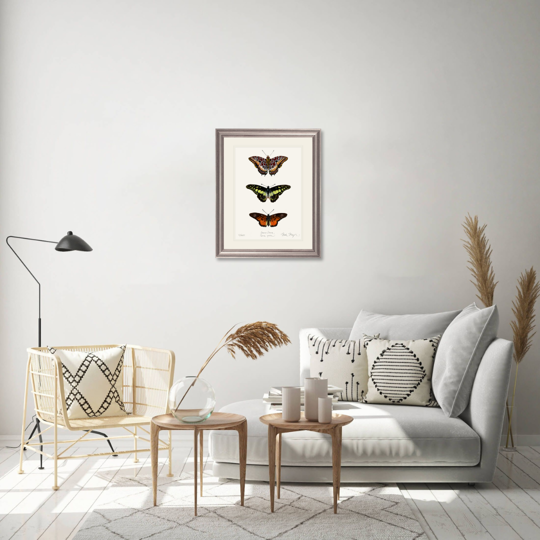 Butterfly Trio Limited Edition Print