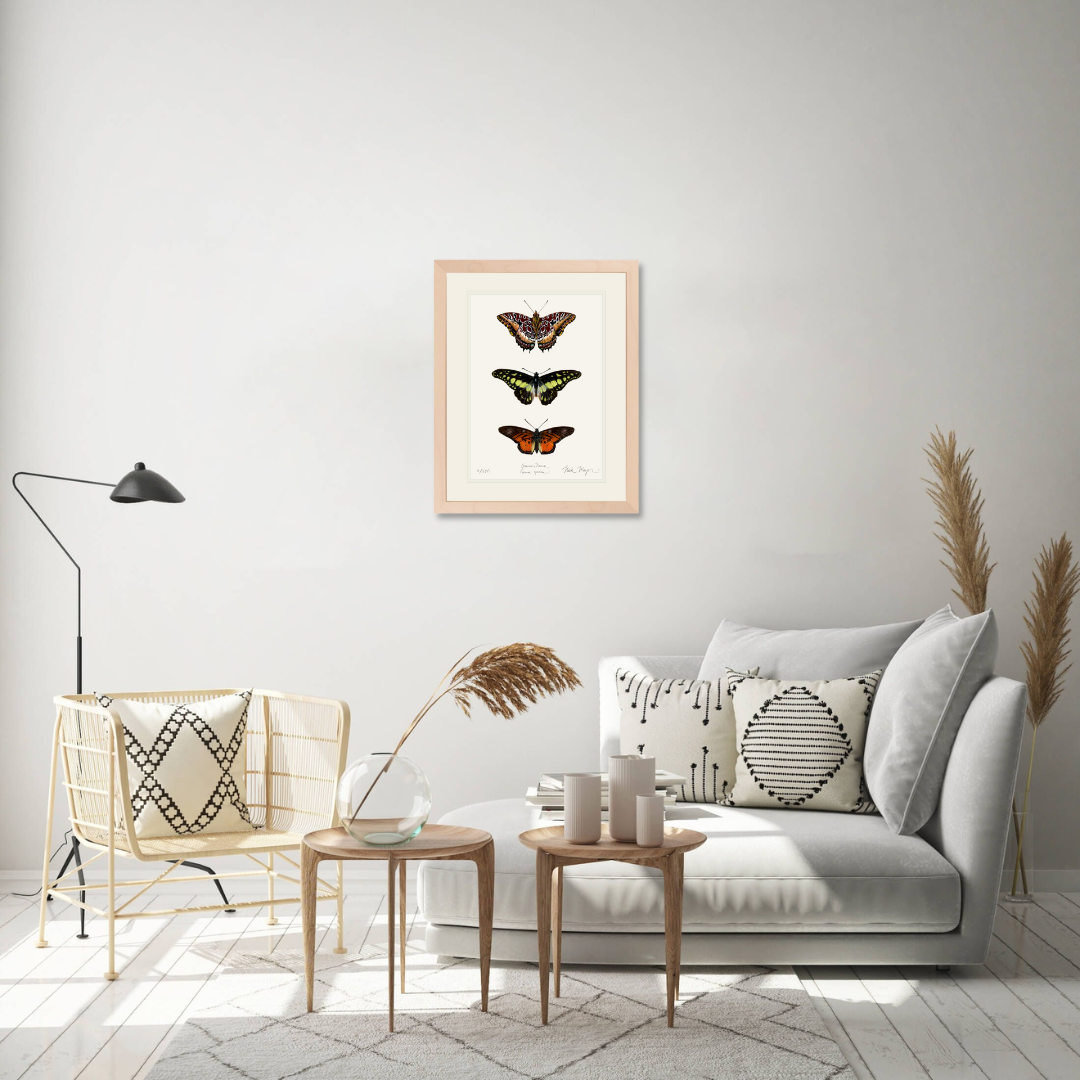 Butterfly Trio Limited Edition Print