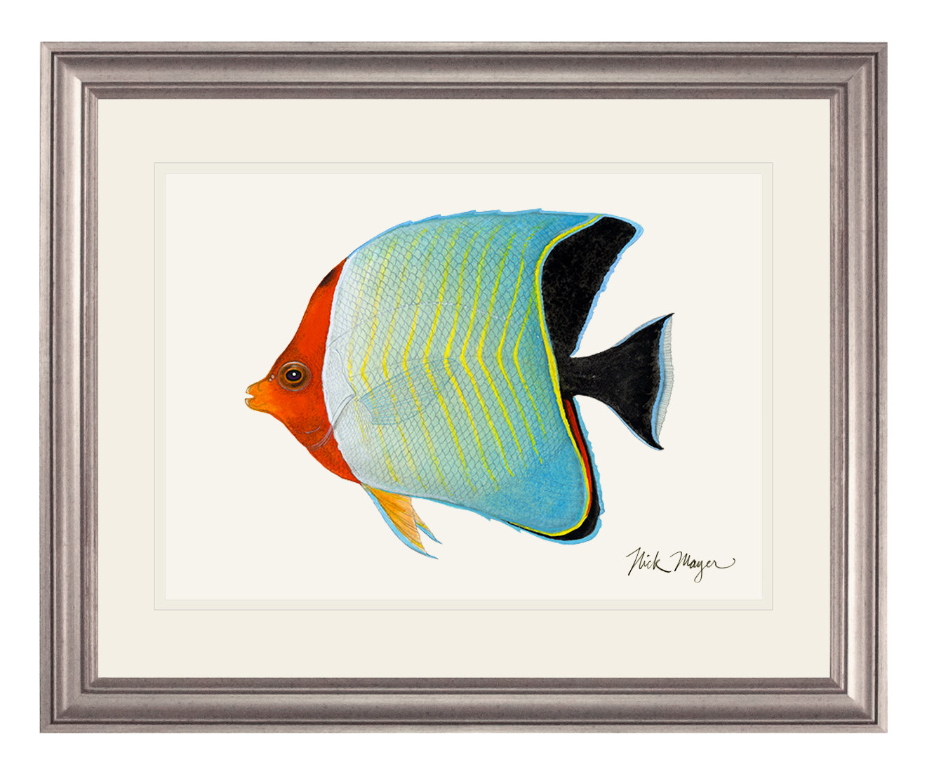 Hooded Butterflyfish Limited Edition Print - NEW