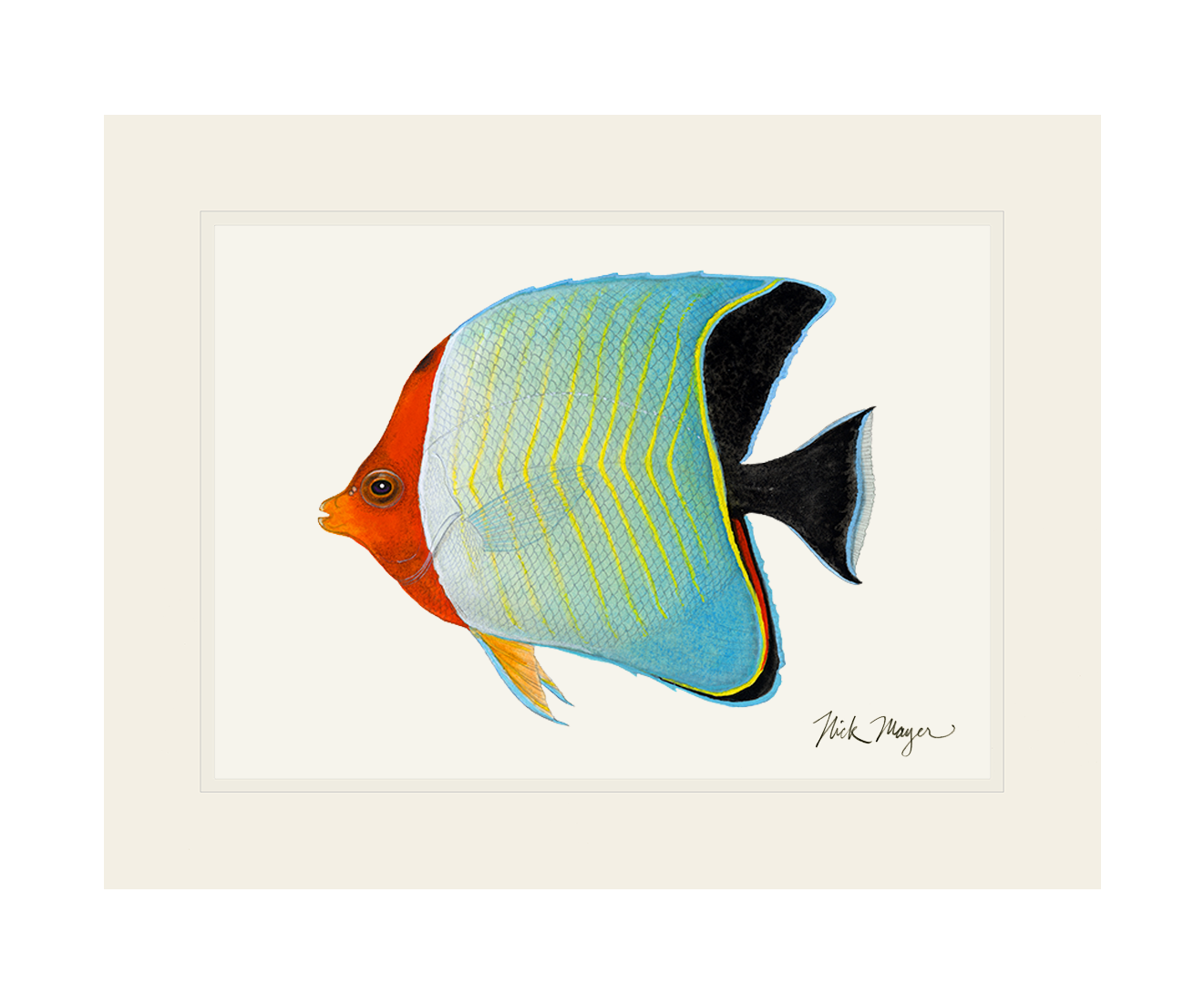 Hooded Butterflyfish Limited Edition Print - NEW