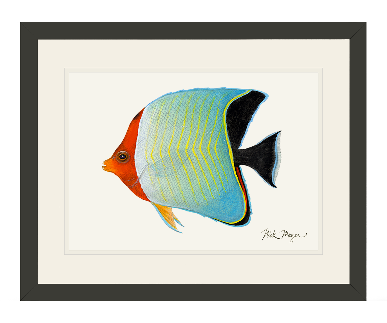 Hooded Butterflyfish Limited Edition Print - NEW