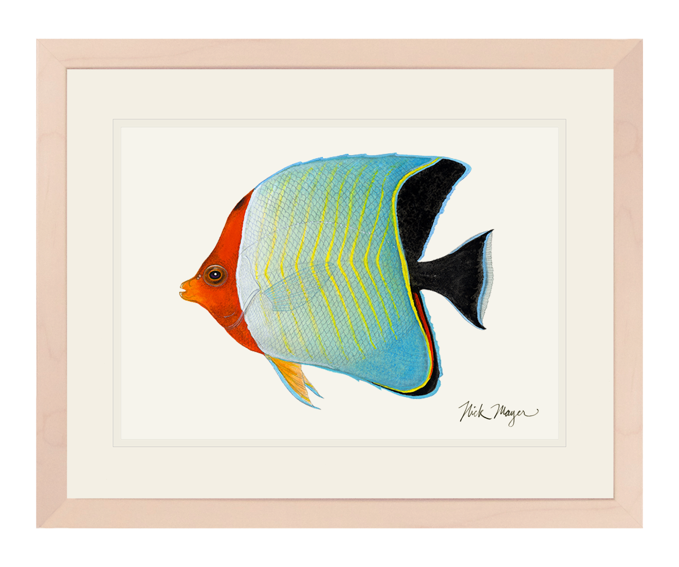 Hooded Butterflyfish Limited Edition Print - NEW