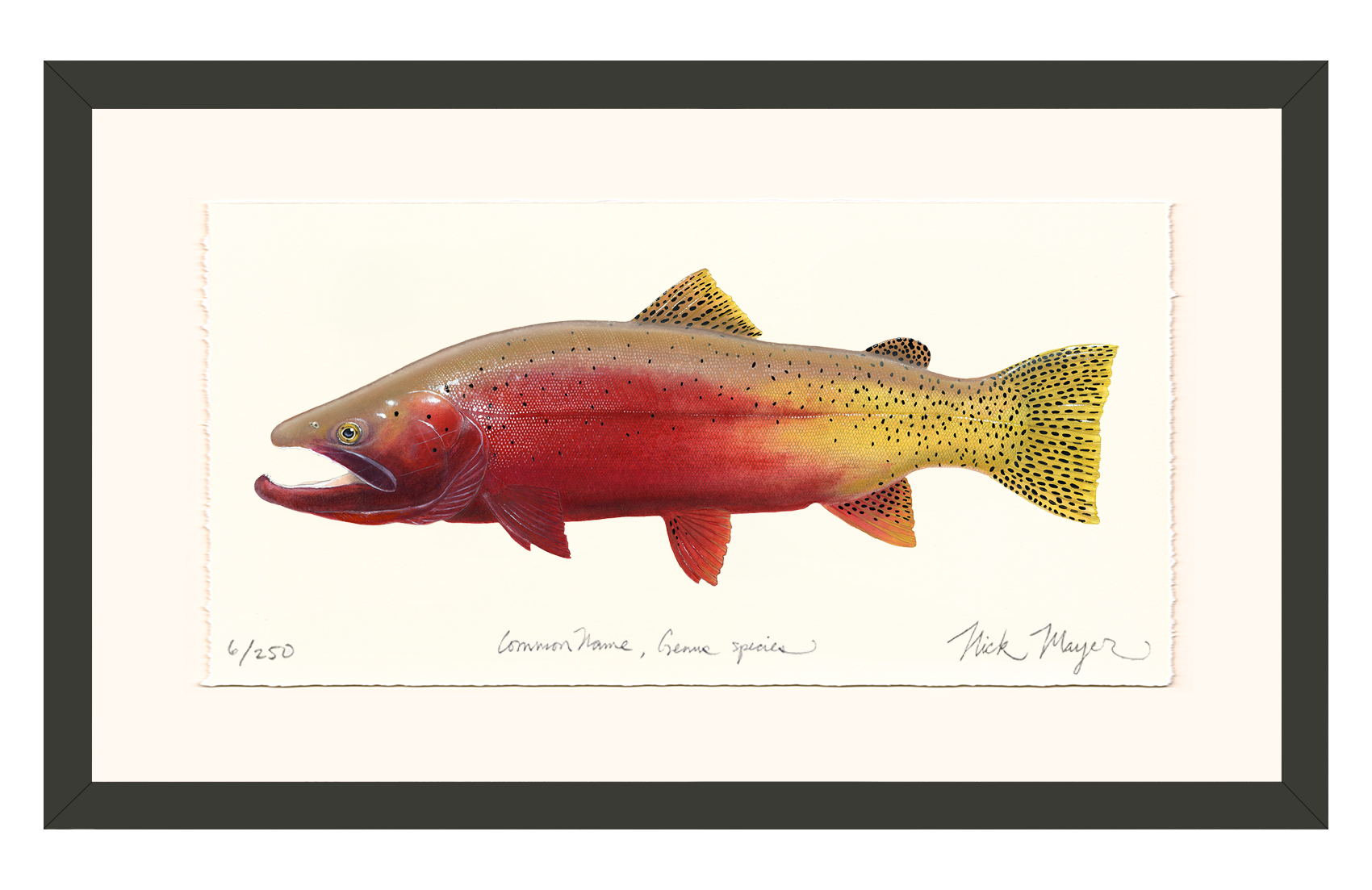 Cutthroat Trout 2 Limited Edition Print - NEW for Holiday 2025!