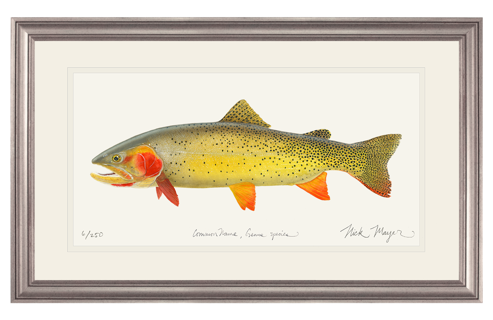 Cutthroat Trout 1 Limited Edition Print - NEW for Holiday 2025!