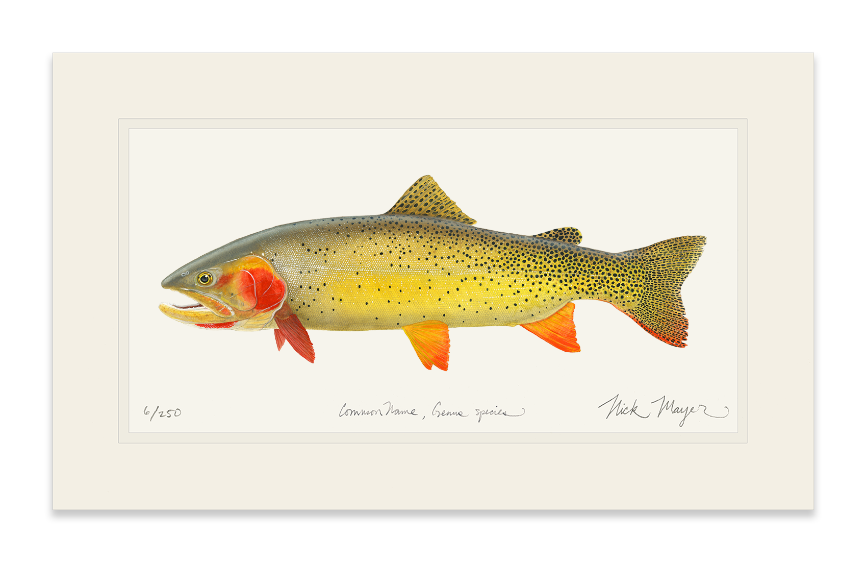 Cutthroat Trout 1 Limited Edition Print - NEW for Holiday 2025!